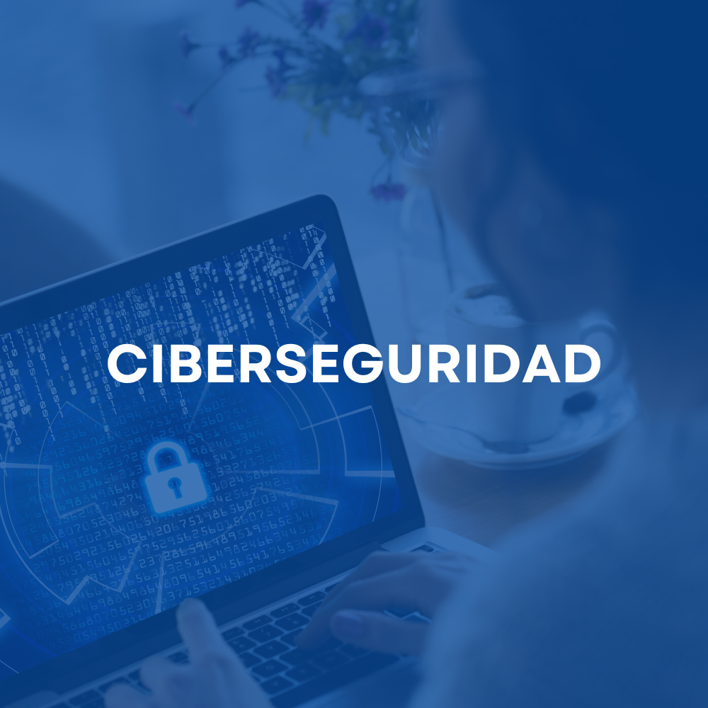 Ciberseguridad